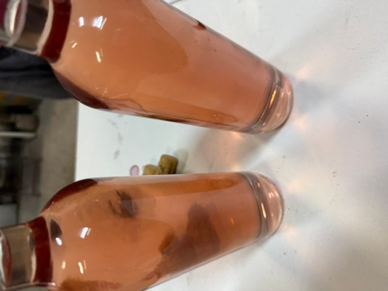 Oc Pinot Rose 2024