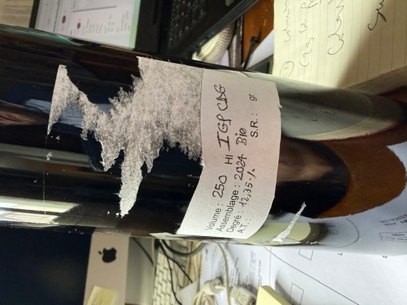 vin rouge igp Cote de Gascogne